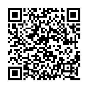 因为剑尘还无法自如的运用远古天狼的精血力量二维码生成