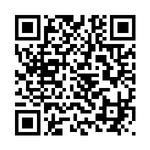 因为十二圣骑几本都没怎么出过手二维码生成