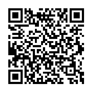 因为单娆妈妈和她姑姑单鸿要来美国接单娆回国二维码生成