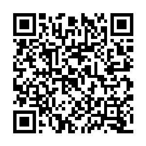 因为卧室里面竟然放着好多张王雅君本人的艺术照二维码生成