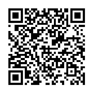 因为县政府大楼和县委大楼相隔不过几步路的距离二维码生成