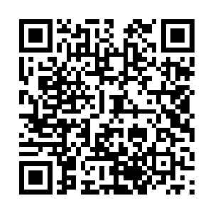 因为只有这样他才能准确而快速的读取石柱上的记载二维码生成
