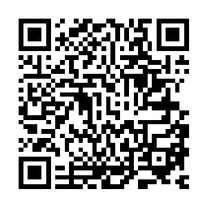 因为只有这样神之城八大家族和扎家才敢名正言顺的对剑尘出手二维码生成