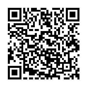 因为可以像池佳一这般挡住剑气的人根本不存在二维码生成