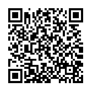 因为周狼的掌影已经笼罩了他周围方圆几十米的范围二维码生成