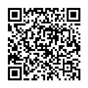 因为在东方世家的眼中根本就没有将吴虎臣给放在眼中二维码生成