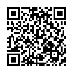 因为在凤祖那一缕神识中留下了一个符阵二维码生成