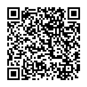 因为在历史上从来没有那个修士在圣级九层后期巅峰的境界上再有突破二维码生成