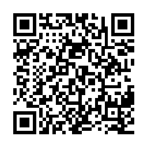 因为在她的本体世界就听说过很多关于阎罗殿关于阴司的传说二维码生成