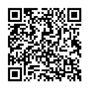 因为在这之前司南下没有和任何人交流过这件事二维码生成