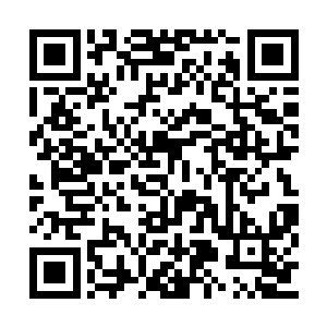 因为在这戒指里杨开发现了之前交出去的龙岛令二维码生成
