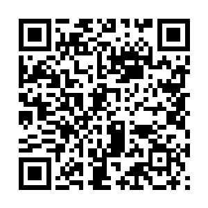 因为地狱的所有苦难都比不上她向自己加诸的痛苦二维码生成