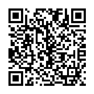 因为夏天根本就没有在意过紫龙到底将不将他的财富交出来二维码生成