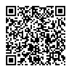 因为外面的杀手好像是料定了两个人会在楼里待不下去继而跑出来二维码生成