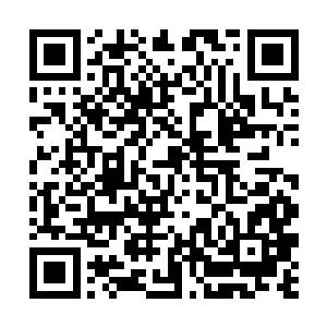 因为大部分进入娱乐圈的人梦寐以求的就是这样一天二维码生成