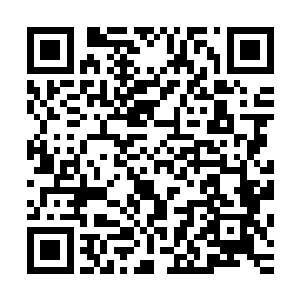 因为天衍大陆浩劫后兴盛起来的武道文明历史才七八万年而已二维码生成