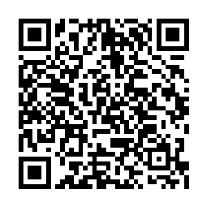 因为天鼎榜之中的一些宝物实际上都已经失传了二维码生成