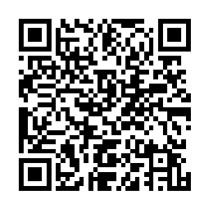 因为她从来都没有想过叶然身上能够有储存活物的万物瓶二维码生成