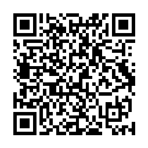 因为她们冰心阁的这几个弟子基本上从来都是没出过海的二维码生成