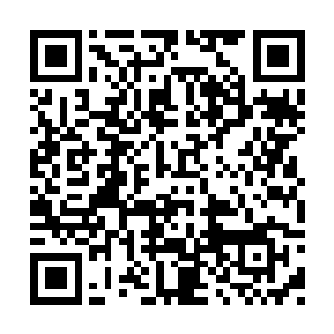 因为她几乎夺去了皇上给予你的本就不多的怜爱二维码生成