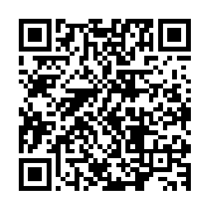 因为她发现其他那五名仙人并没有管已经做出选择的雷系仙人二维码生成