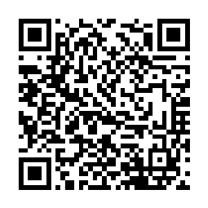因为她太小看这些圣殿长老对这一个名额的看重了二维码生成