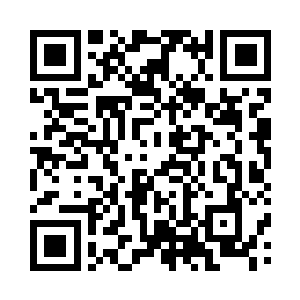 因为她居然看到满院子都是可爱的小狗二维码生成