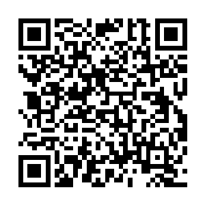 因为她已经无需用外在的声势彰显自己此刻的愤怒和杀意了二维码生成