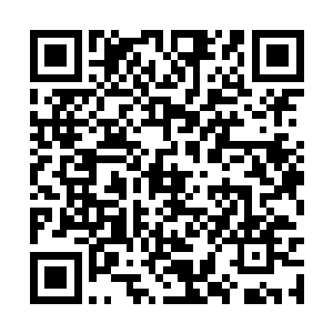 因为她已经看出来了丁羽的目光带有的隐晦和询问二维码生成