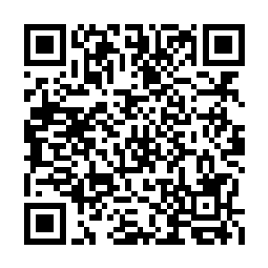 因为她感觉到了集团管理层看她的眼神里有不满二维码生成