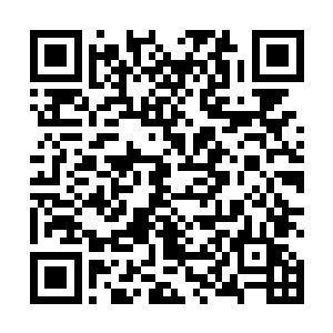 因为她提供给魔方的能量只能维持庞大机构运转一小会二维码生成