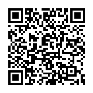 因为她有一位讲话比省委书记分量还要重的同事二维码生成