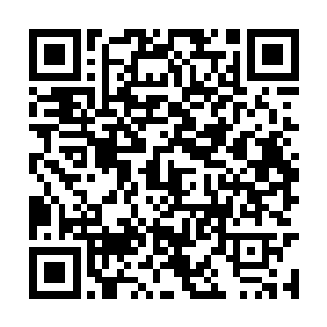 因为她的确没有感受到任何来自这位老神仙的恶意二维码生成