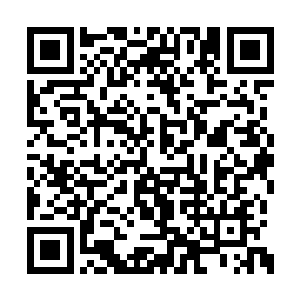 因为她知道其实每个器灵都有自己的独立空间的二维码生成