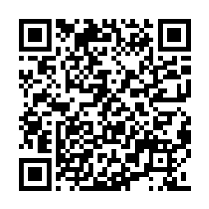 因为她还不确定丁长生和曹建民到底是什么关系二维码生成