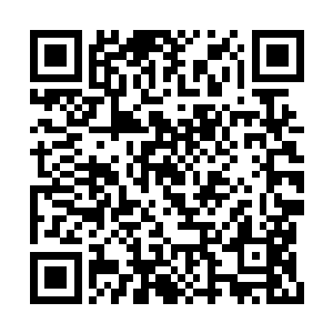 因为她还是头一次这么直面的感受到雪狼的愤怒二维码生成