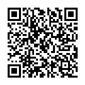 因为如今在这里的百族修士修为最差也是圣级八层二维码生成