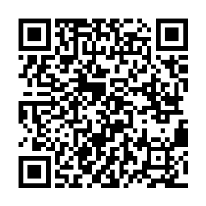 因为如果不对珐琅国当局表明洛天星的真实身份的话二维码生成