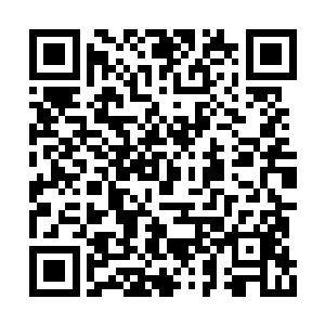 因为如果他真的全力以赴跟沙罗曼蛇战队拼一次二维码生成