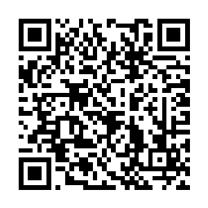 因为它们的互生和结合状态能演变出其他各种能量二维码生成