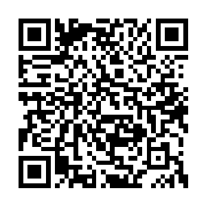 因为安德健在和他的谈话中无意中提到了这个入二维码生成