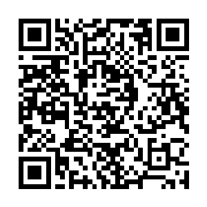 因为定王在西陵皇城杀的人中有不少就是苍茫山的势力二维码生成