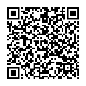 因为就连许紫烟选出来让桃花她们居住的那个星球长到许紫烟丹田封印的时候二维码生成