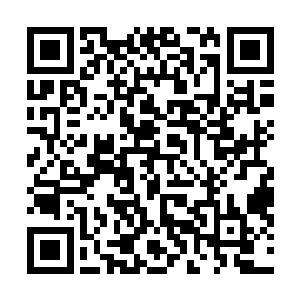 因为属下的那个手下说那口钟散发着及其浓郁的蛮荒之力二维码生成