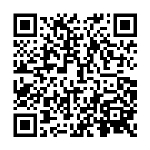 因为师兄师姐盗秘籍私奔导致师母早产难产而死二维码生成