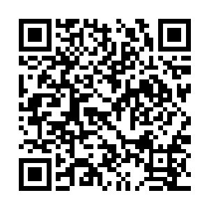 因为开启地镇关和天镇关的上古遗迹需要依仗自己二维码生成