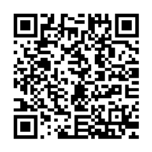 因为张铁记得黑铁之堡的空间内好像还没撒过蓝莓和山楂的种子二维码生成