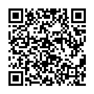 因为弥勒佛已经想明白了会有怎样严重的后果了二维码生成