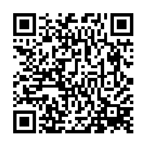 因为当初百族英灵也只是进入到许紫烟的体内相助许紫烟二维码生成