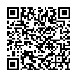 因为当时地球各大强国的官方控制力都大幅削弱二维码生成